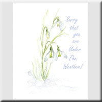 Card 6004a